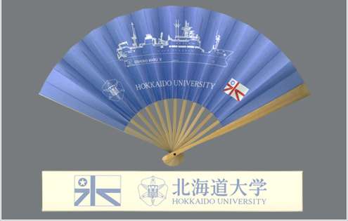 北海道大学