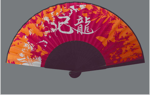 己龍